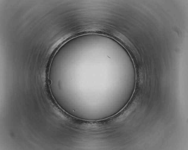 X0000113890834200910081806