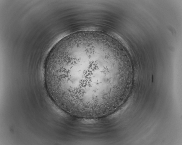 X0000113890835200910081806