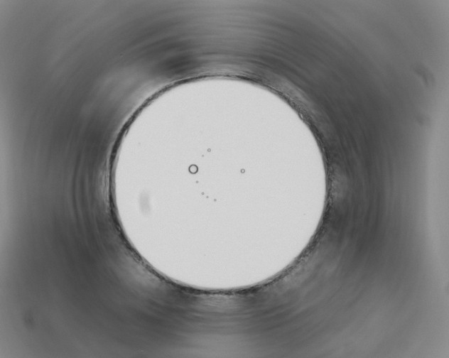 X0000113890836200910081806