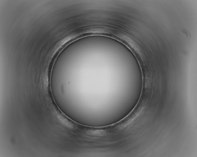 X0000113890837200910081806