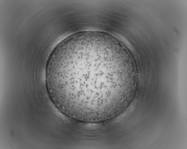 X0000113890839200910081806