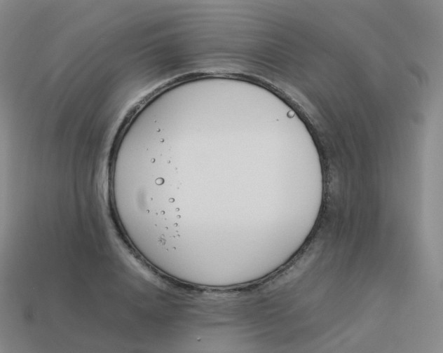 X0000113890840200910081806