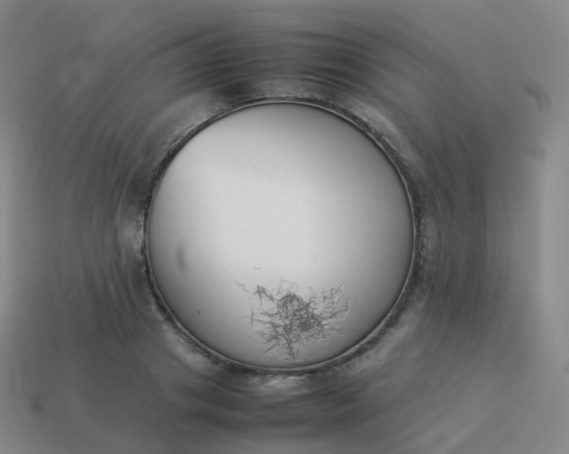 X0000113890841200910081806