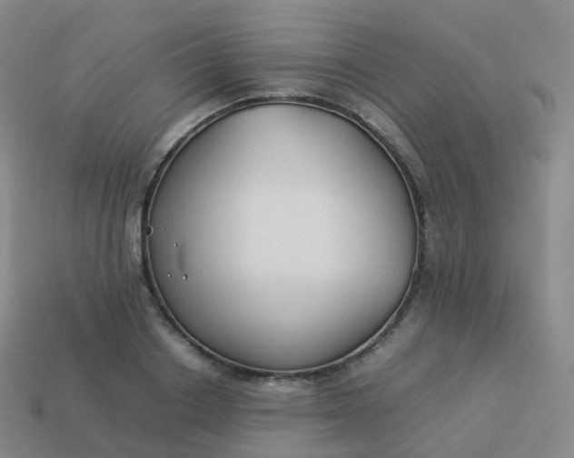 X0000113890842200910081806