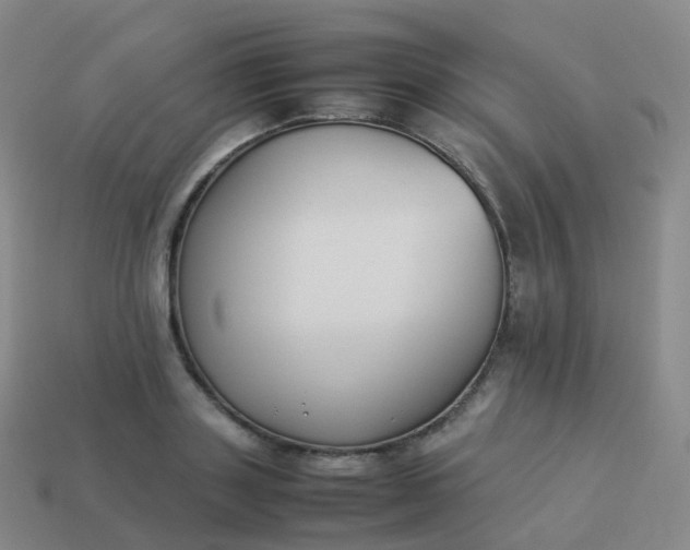 X0000113890843200910081806