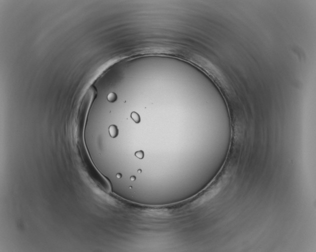 X0000113890844200910081806