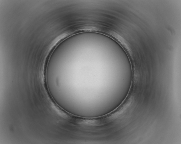 X0000113890845200910081807