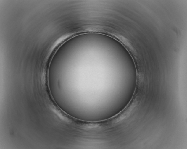 X0000113890846200910081807