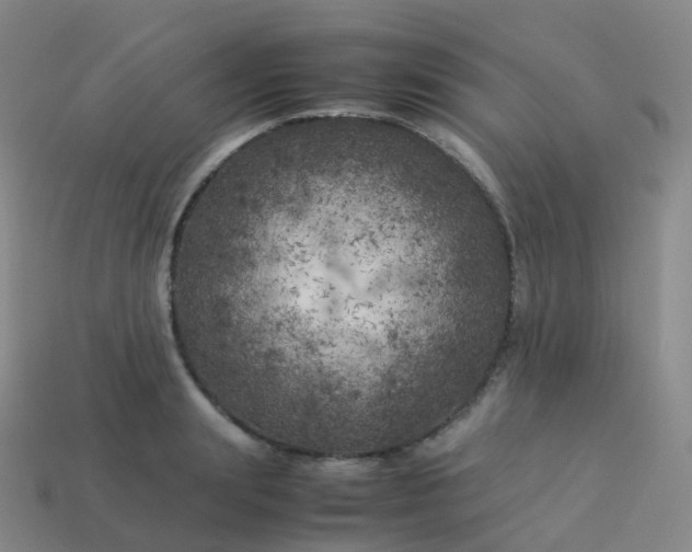 X0000113890847200910081807