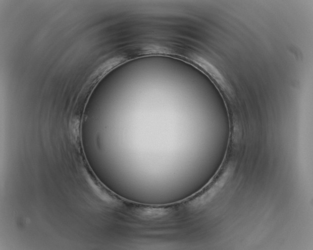 X0000113890849200910081807