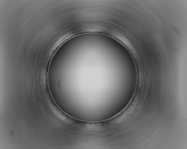 X0000113890850200910081807