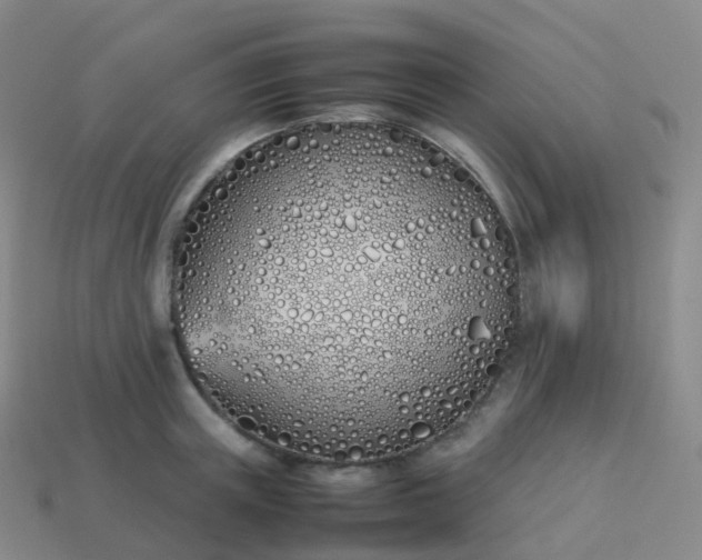 X0000113890851200910081807