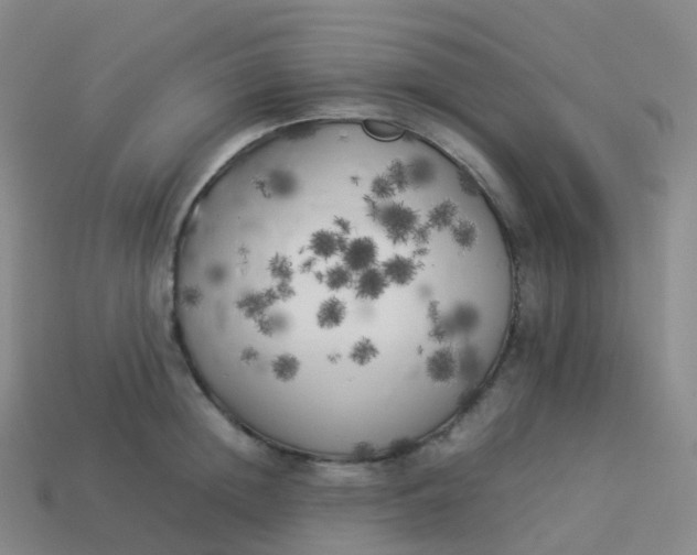 X0000113890852200910081807