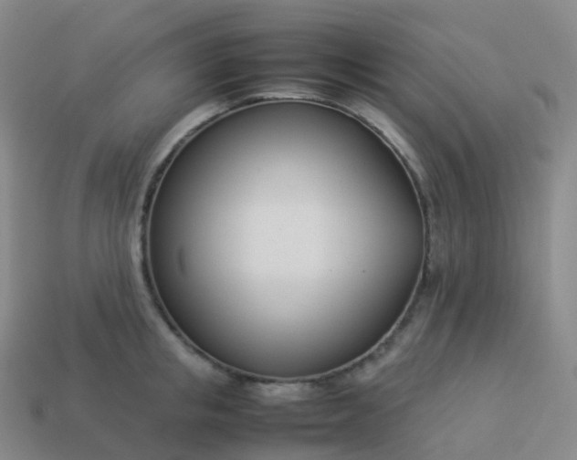 X0000113890853200910081807