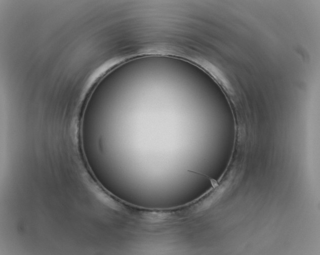 X0000113890854200910081807