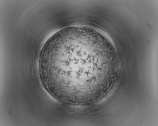 X0000113890855200910081807