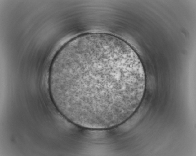 X0000113890856200910081807