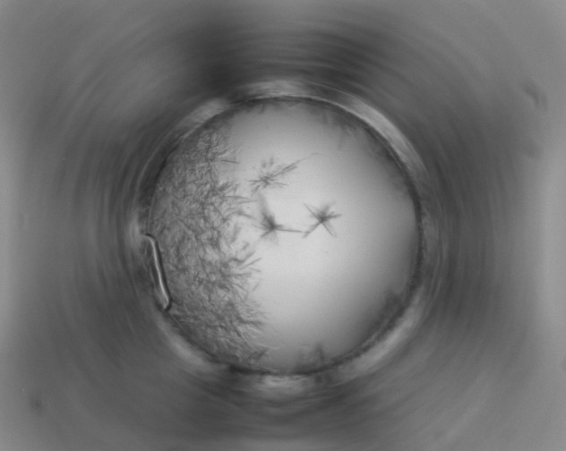 X0000113890857200910081807