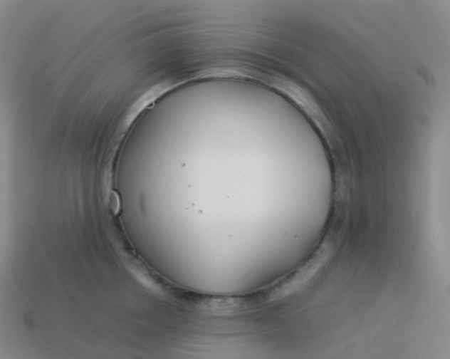 X0000113890858200910081807