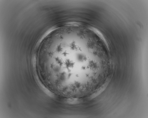 X0000113890859200910081807