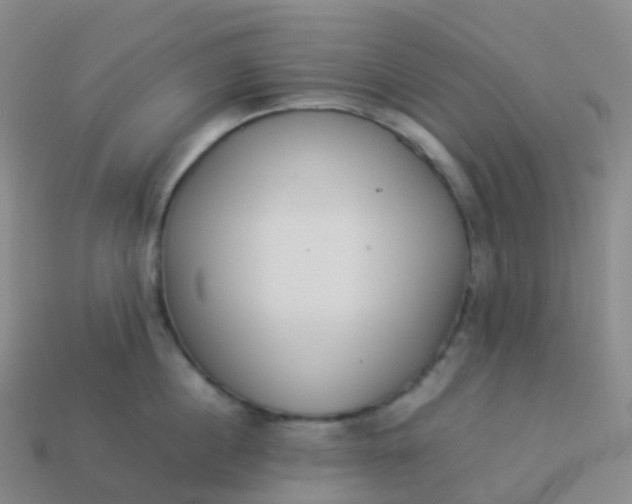 X0000113890860200910081807