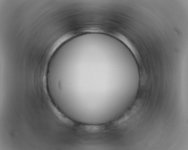 X0000113890861200910081807