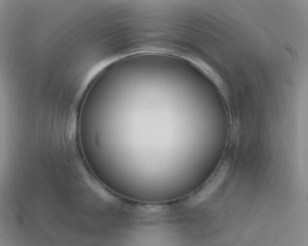 X0000113890862200910081807