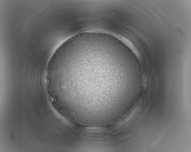 X0000113890863200910081807