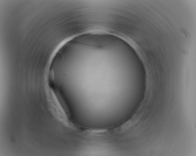 X0000113890864200910081807