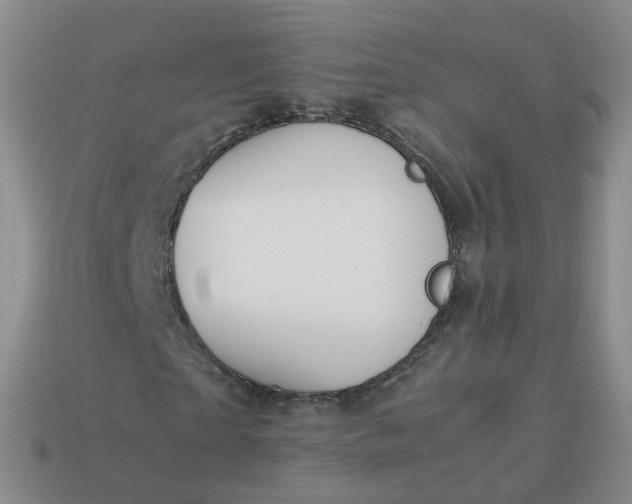 X0000113890865200910081806