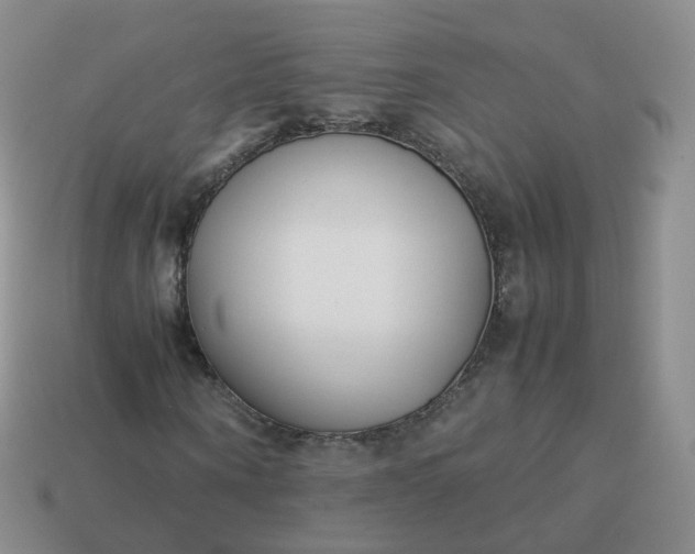 X0000113890866200910081806