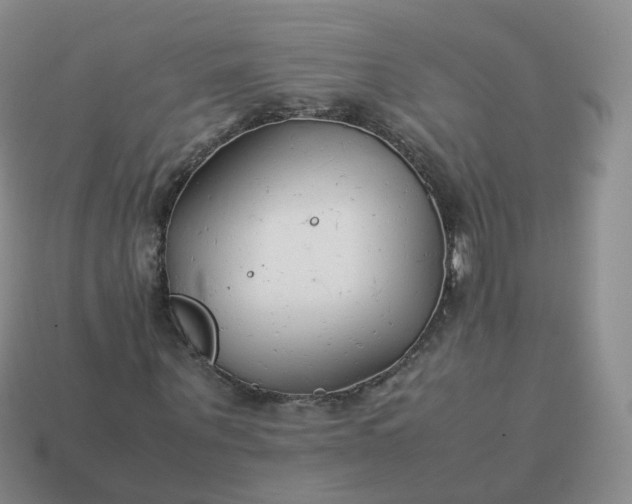 X0000113890867200910081806