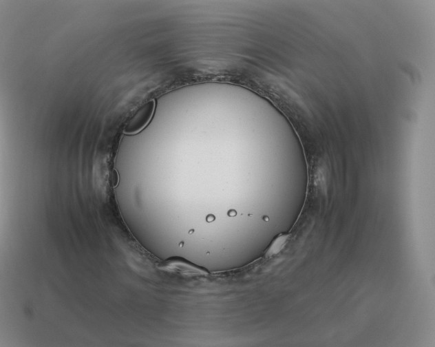 X0000113890868200910081806