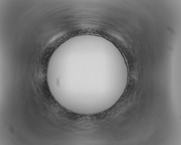 X0000113890869200910081806