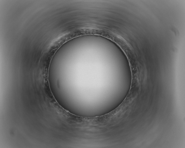 X0000113890870200910081806