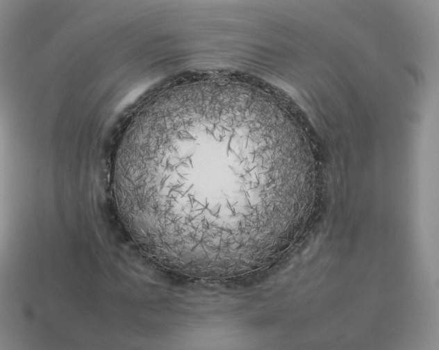 X0000113890871200910081806