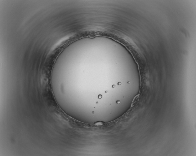 X0000113890872200910081806