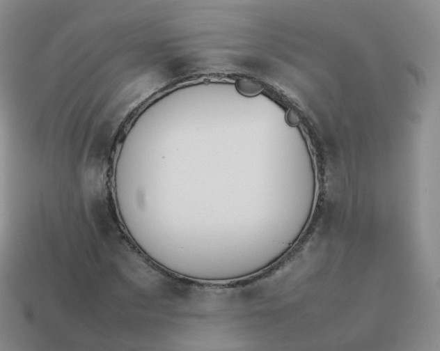 X0000113890873200910081806