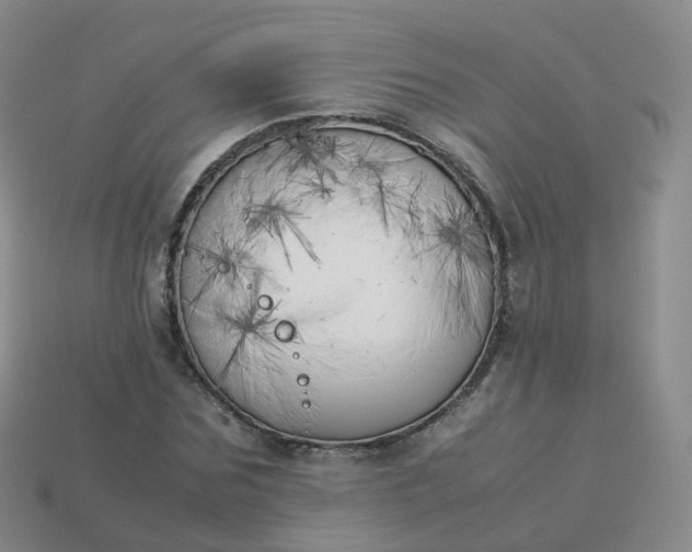 X0000113890875200910081806