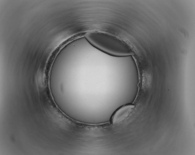 X0000113890876200910081806