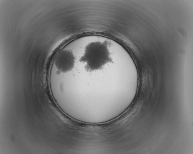 X0000113890878200910081806