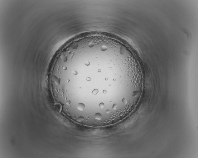 X0000113890879200910081806