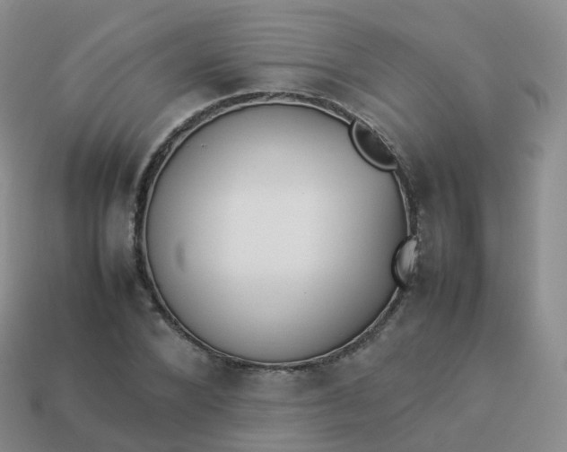 X0000113890880200910081806