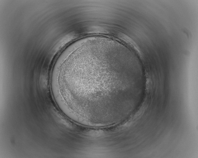 X0000113890882200910081806