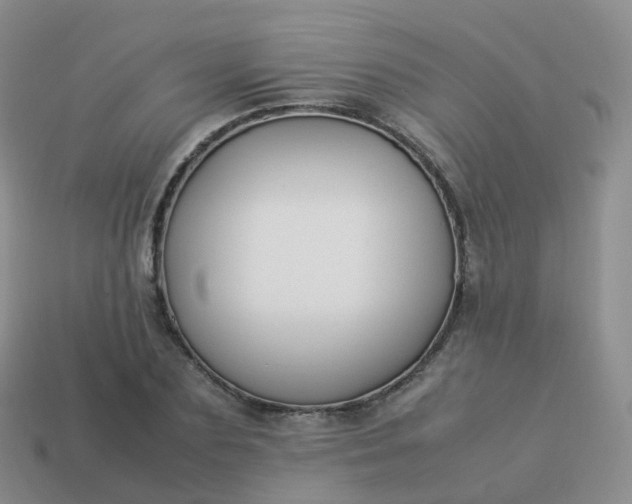 X0000113890883200910081806