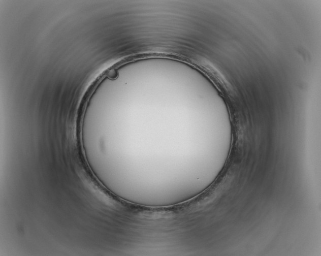 X0000113890884200910081806