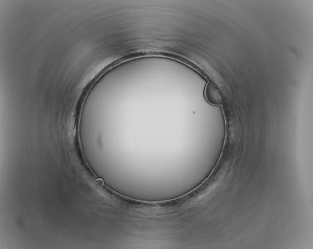 X0000113890885200910081806