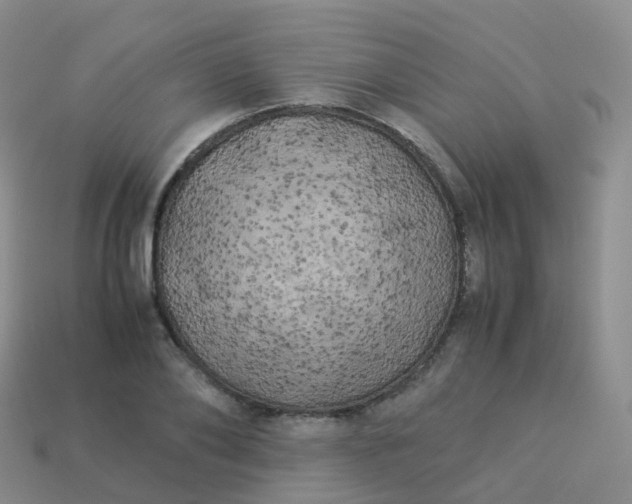 X0000113890886200910081806