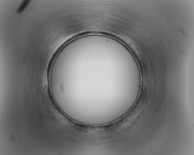 X0000113890887200910081806