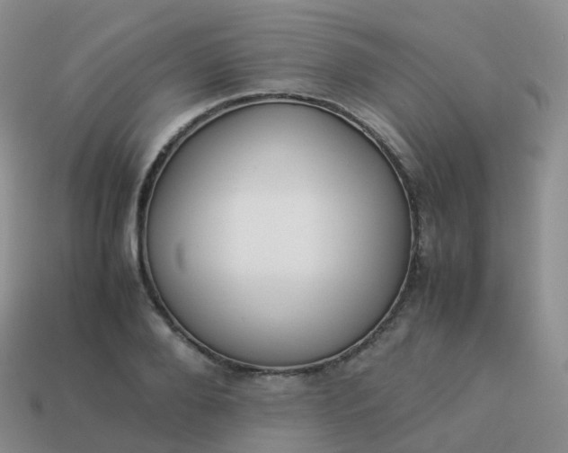 X0000113890888200910081806